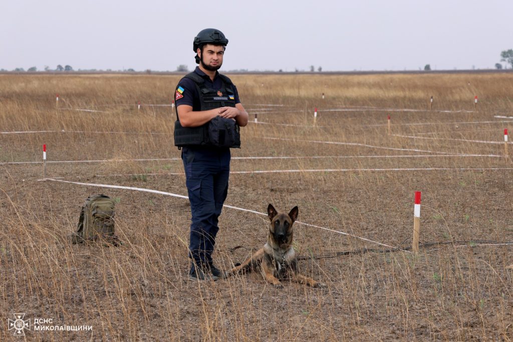 З 2022 року на Миколаївщині 24 людини загинули, підірвавшись на мінах, - як собаки-сапери допомагають запобігти трагедіям (ФОТО) 12