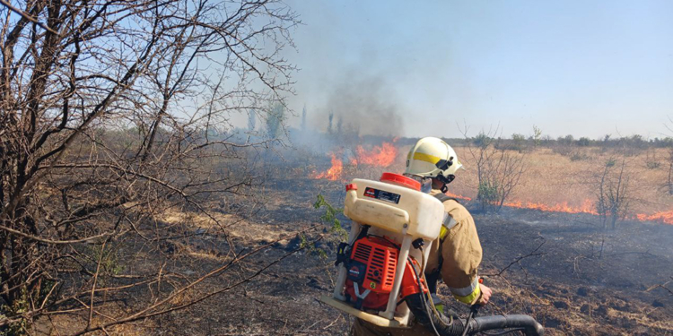 За добу на Миколаївщині було 17 різних пожеж, вигоріло понад 18 га відкритих територій (ФОТО)