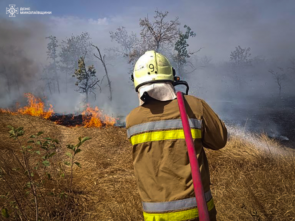 На Миколаївщині за добу ліквідовано 41 пожежу, одна з яких виникла в результаті бойових дій (ФОТО) 10