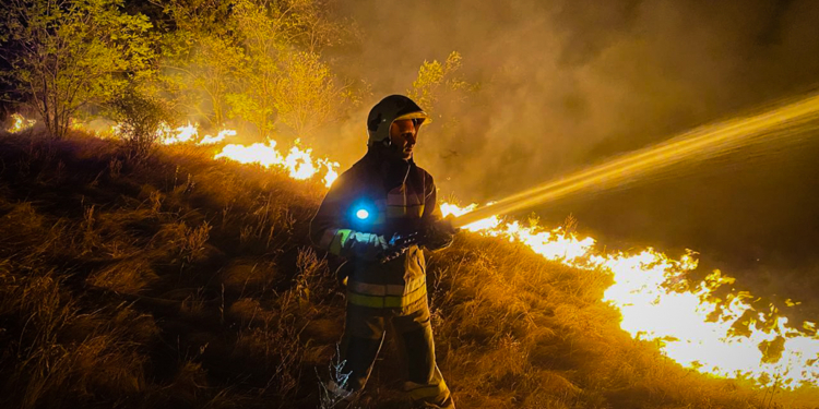 На Миколаївщині за добу ліквідовано 41 пожежу, одна з яких виникла в результаті бойових дій (ФОТО)