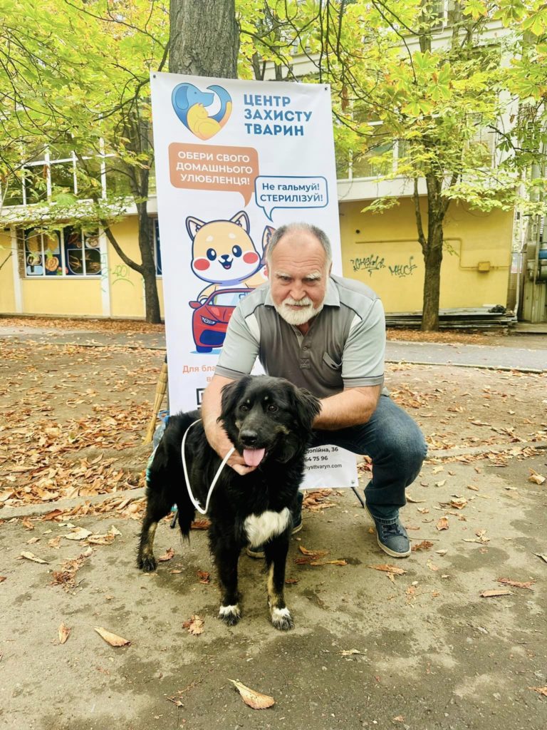 У Миколаєві на черговій виставці-прилаштуванні вдалось знайти нові домівки 15 «хвостикам» (ФОТО) 17