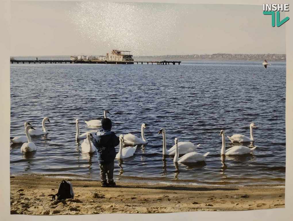 «Мій Миколаїв»: відкрилась фотовиставка Галини Сеннікової до Дня міста (ФОТО) 18