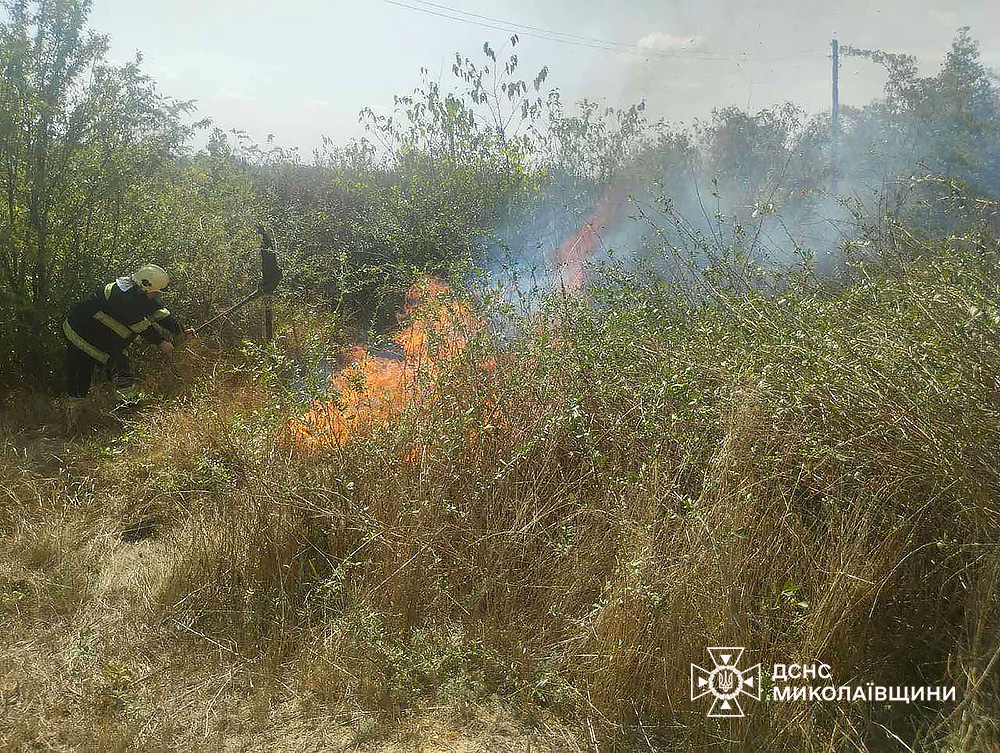 На Миколаївщині за добу вигоріло понад 17 га відкритих територій (ФОТО) 18