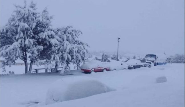 Місцями насипало до двох метрів. Африку замело снігом (ВIДЕО)