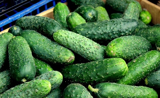 Вартість огірків в Україні оновила семирічний рекорд