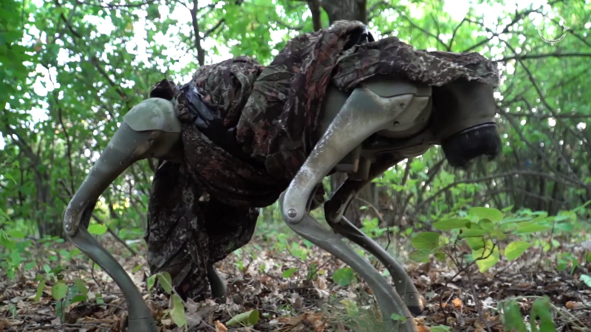 Не забавка. Українські військові показали роботів-собак на фронті (ВІДЕО)