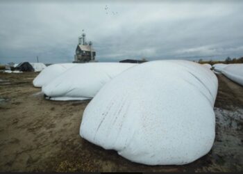 Аграрії Миколаївщини можуть отримати рукави для зберігання зерна. Куди звертатись