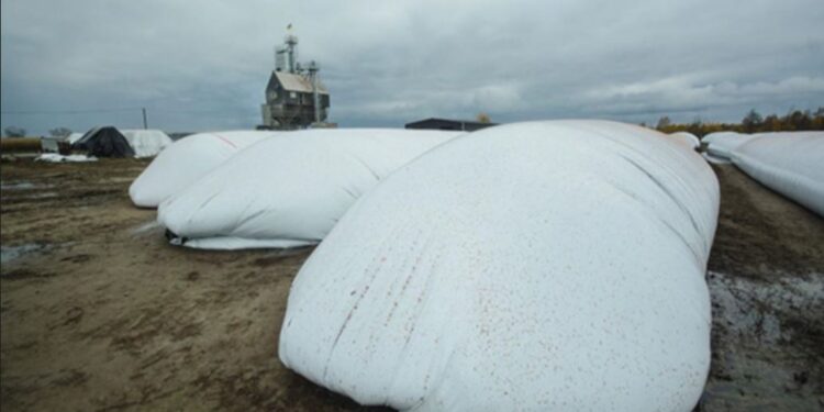 Аграрії Миколаївщини можуть отримати рукави для зберігання зерна. Куди звертатись