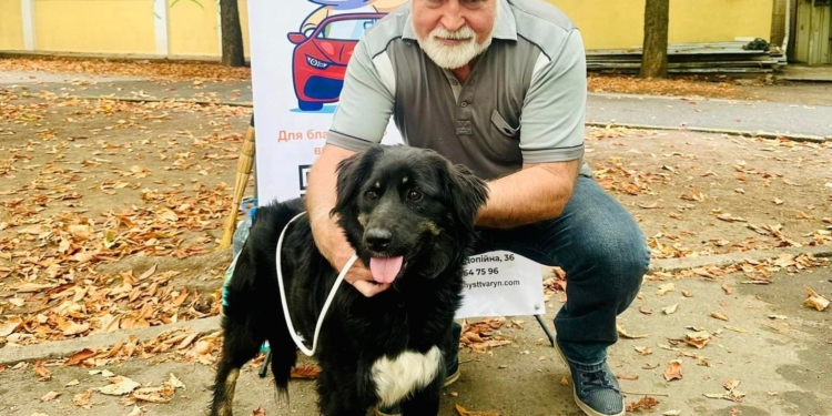 У Миколаєві на черговій виставці-прилаштуванні вдалось знайти нові домівки 15 «хвостикам» (ФОТО)