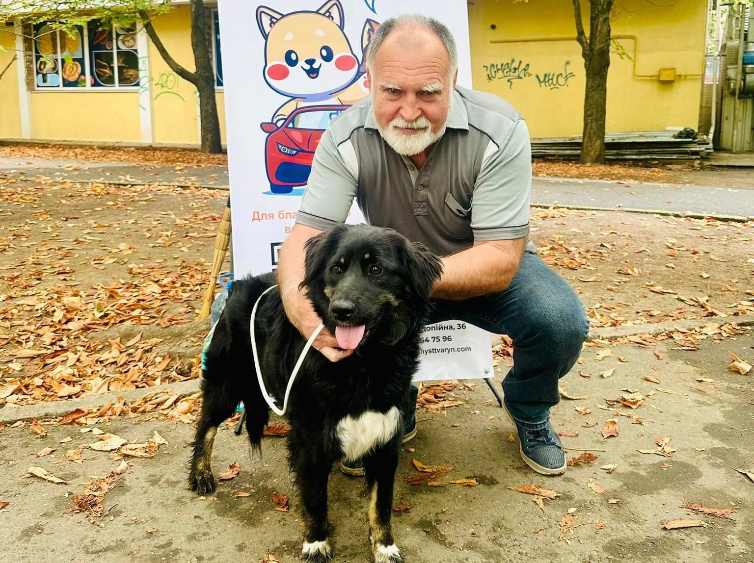 У Миколаєві на черговій виставці-прилаштуванні вдалось знайти нові домівки 15 «хвостикам» (ФОТО)