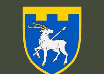 Проводиться службове розслідування з приводу смерті комбата 123-ї бригади ТрО ЗСУ – офіційний коментар