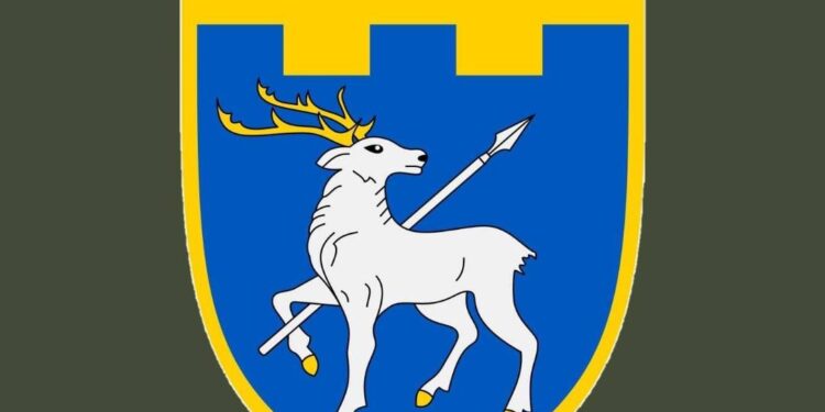 Проводиться службове розслідування з приводу смерті комбата 123-ї бригади ТрО ЗСУ – офіційний коментар