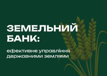Відбувся перший земельний аукціон в рамках проєкту «Земельний банк» – за скільки, де і що продали