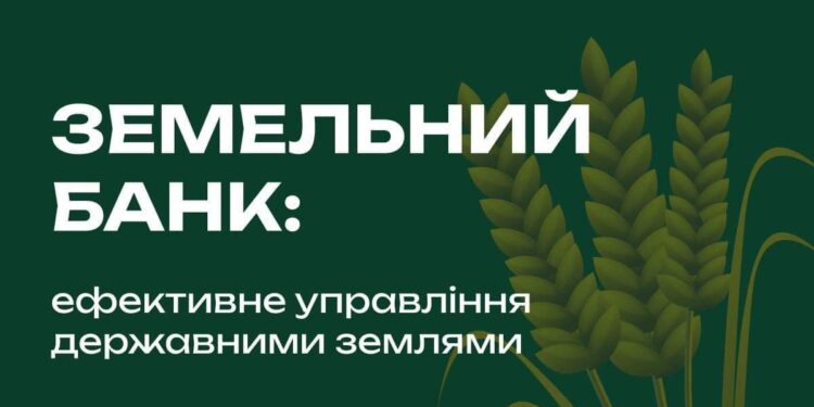 Відбувся перший земельний аукціон в рамках проєкту «Земельний банк» – за скільки, де і що продали