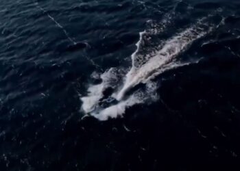В СБУ показали, як нові дрони Sea Baby із РСЗ нищать позиції окупантів на Кінбурні (ВІДЕО)