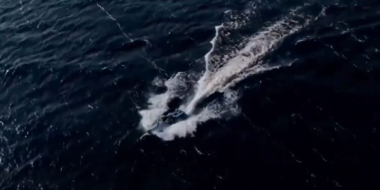 В СБУ показали, як нові дрони Sea Baby із РСЗ нищать позиції окупантів на Кінбурні (ВІДЕО)