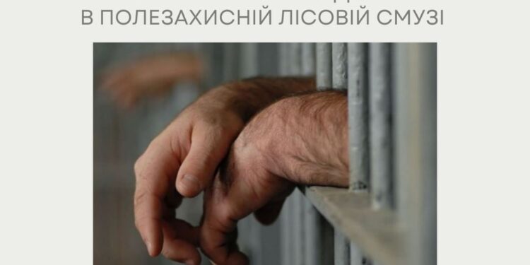 На Миколаївщині мешканець Снігурівки отримав 1,5 роки обмеження волі за незаконну порубку дерев