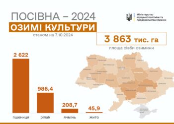 Осіння посівна-2024: за тиждень – ще плюс 1 млн.га озимих культур