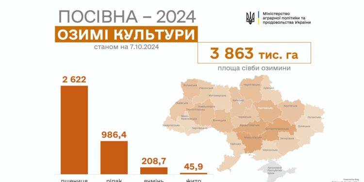 Осіння посівна-2024: за тиждень – ще плюс 1 млн.га озимих культур