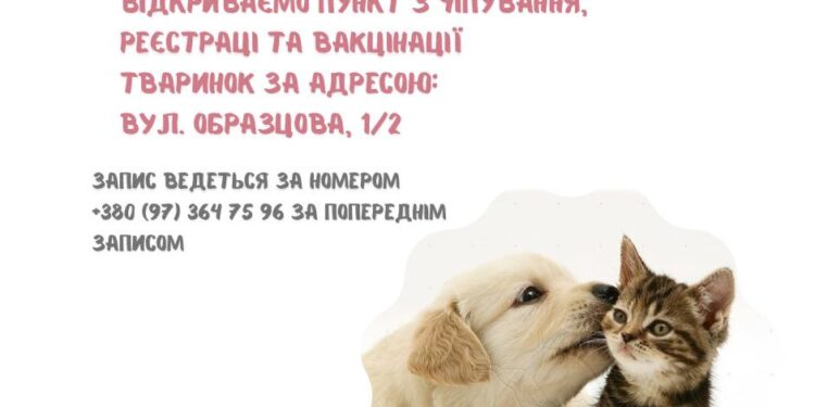 У Миколаєві відкрився пункт чіпування, реєстрації та вакцинації домашніх улюбленців від “Центру захисту тварин”