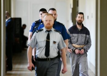 «Свобода слова не абсолютна» – Конституційний суд Чехії підтримав реальні строки двом чехам за слова ненависті до українців