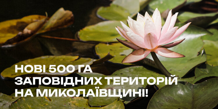 На Миколаївщині з’явиться ще одна природоохоронна територія – заказник «Ковалівські плавні»