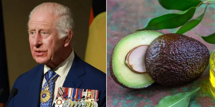 Онкохворий король Чарльз відмовляється від їжі (ФОТО)