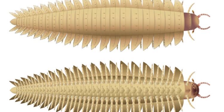 Кін-конг жив? Науковці відтворили голову гігантської багатоніжки