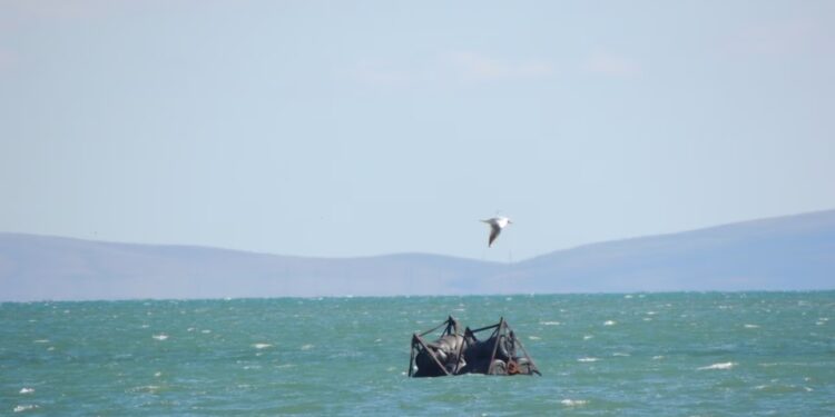 Бонові загородження Кримського мосту відправились у «вільне плавання» (ФОТО)