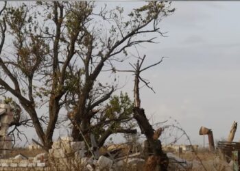 Як село Безіменне на Миколаївщині стало безлюдним після окупації, і чому там не сподіваються на відновлення (ФОТО, ВІДЕО)