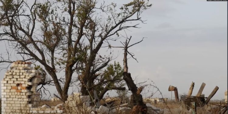 Як село Безіменне на Миколаївщині стало безлюдним після окупації, і чому там не сподіваються на відновлення (ФОТО, ВІДЕО)