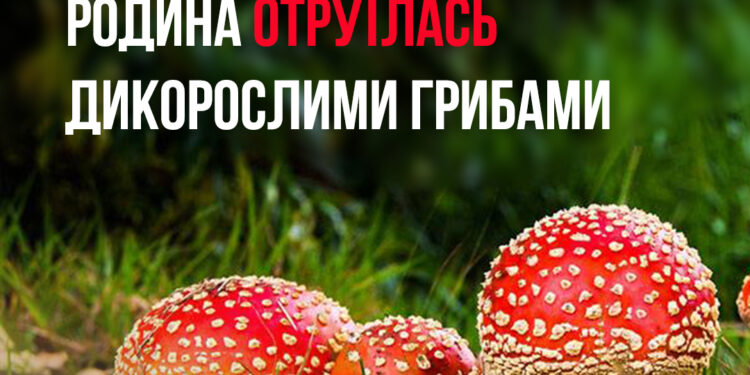 На Миколаївщині родина отруїлась грибами