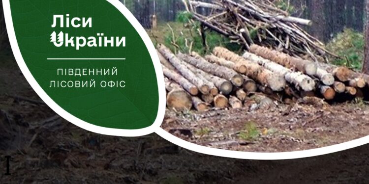 Мешканці Миколаївщини можуть самостійно збирати дрова для власних потреб – що для цього треба зробити