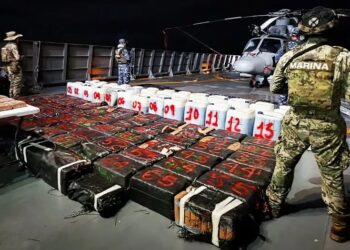 У Мексиці військові вилучили понад 8 тонн наркотиків