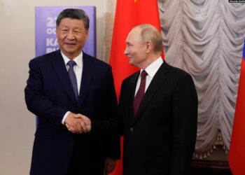 В рамках БРІКС путін та Сі Цзіньпін говорили про Україну і «глибоку дружбу» між росією та Китаєм