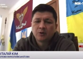 Чому Віталій Кім взяв на поруки миколаївську нардепку Ірину Кормишкіну