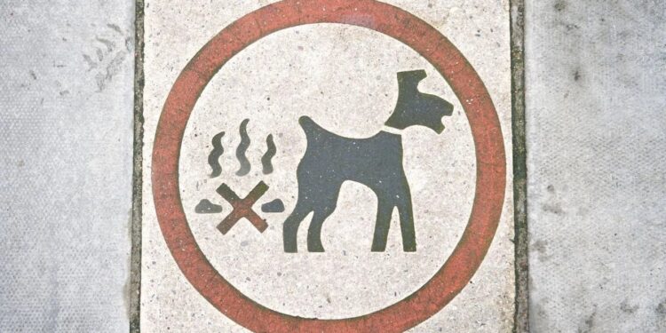 У французькому місті власників собак зобов’язали надавати мерії ДНК вихованця