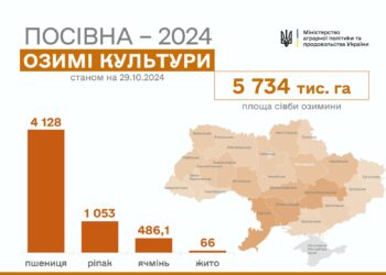 Аграрії країни засіяли 5,7 млн га озимих культур. Миколаївщина – лідер за обсягами сівби