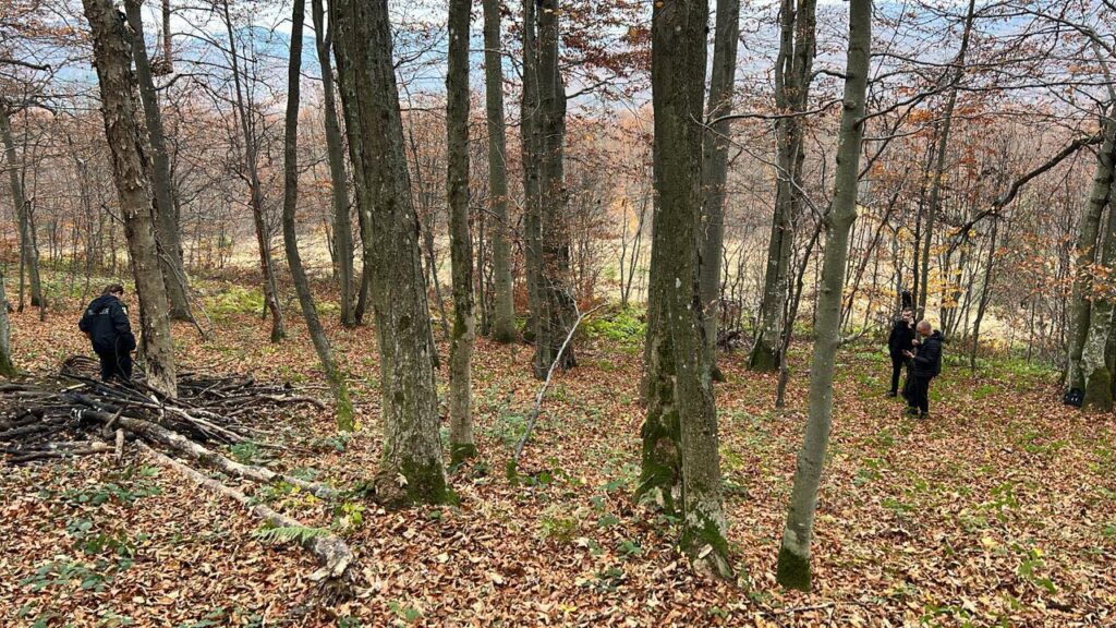 На Львівщині браконьєри вбили двох червонокнижних зубрів (ФОТО) 2