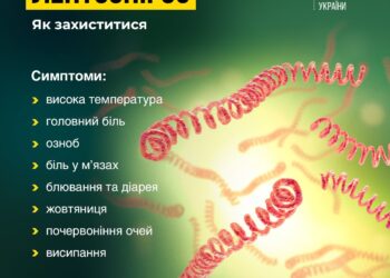 На Миколаївщині в 3,4 рази зросла кількість випадків захворювання на лептоспіроз – дві людини померло