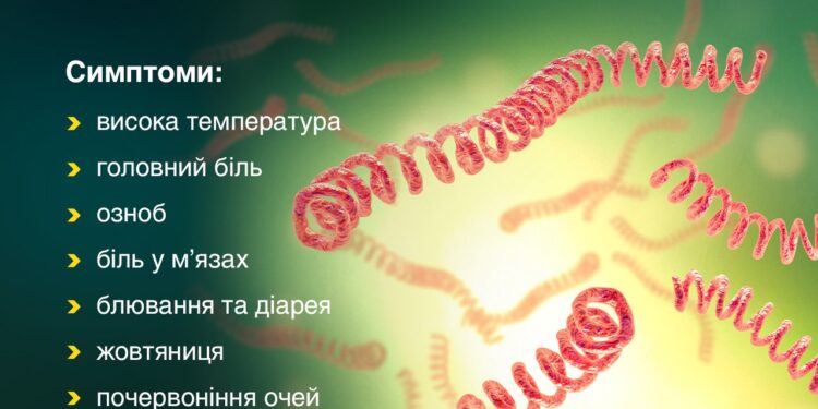 На Миколаївщині в 3,4 рази зросла кількість випадків захворювання на лептоспіроз – дві людини померло