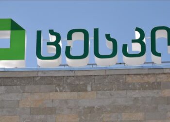 У Грузії за 2 дні до виборів прийняли закон, за яким за блокування ЦВК – в’язниця