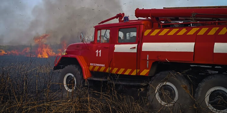 На Миколаївщині 14 пожеж за добу – палало не тільки в екосистемах, але й в Миколаєві та Вознесенську (ФОТО)