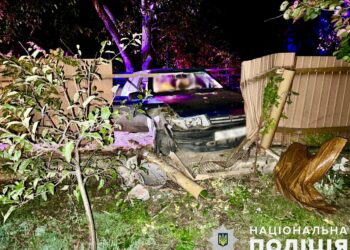 Викрав легковик, щоб під’їхати додому, і потрапив в ДТП – на Миколаївщині оперативно затримали зловмисника (ФОТО)