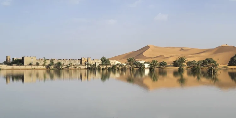 Куди котиться світ? Пустелю Сахара – затопило (ФОТО)