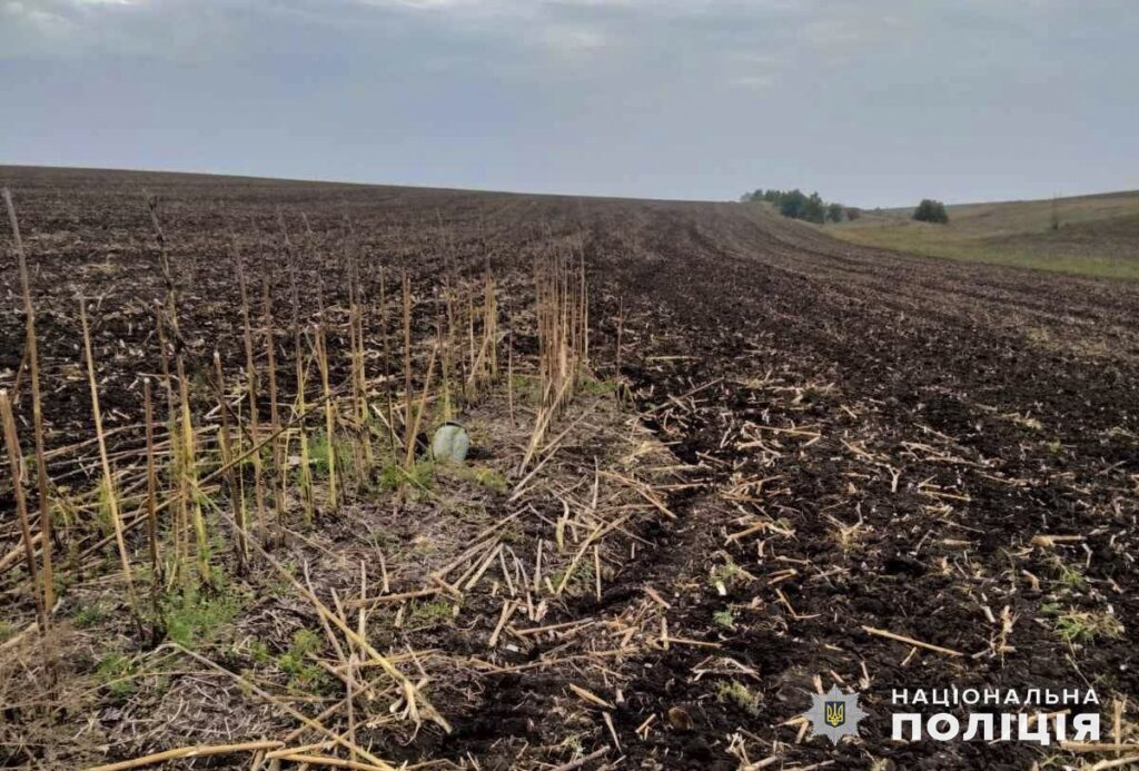 Бойова частина БпЛА з 50 кг вибухівки та касетний боєприпас – на Миколаївщині знешкодили російську зброю (ФОТО) 6