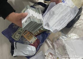 У Житомирі лікарка підробляла висновки МРТ для ухилянтів. Скільки мільйонів у неї вилучили (ФОТО)