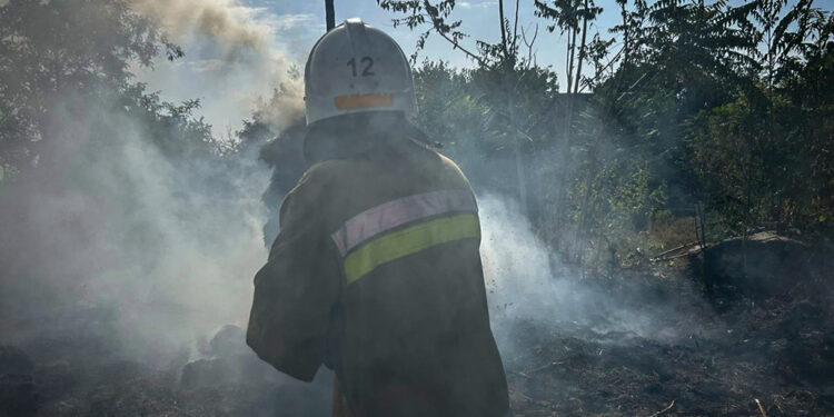 На Миколаївщині протягом доби на пожежах загинуло двоє людей, ще двоє постраждали (ФОТО)