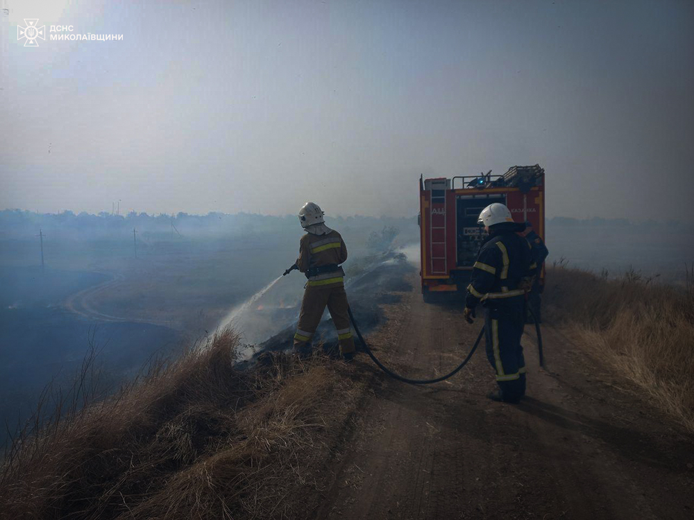 На Миколаївщині 14 пожеж за добу – палало не тільки в екосистемах, але й в Миколаєві та Вознесенську (ФОТО) 8