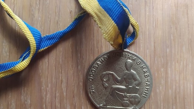 Профільний комітет Ради рекомендує скасувати фінансування на виготовлення шкільних медалей на 2025 рік